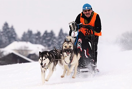 Freie Hundeschule Salzburg, Pinzgau, Pongau