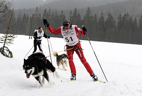 Freie Hundeschule Salzburg, Pinzgau, Pongau